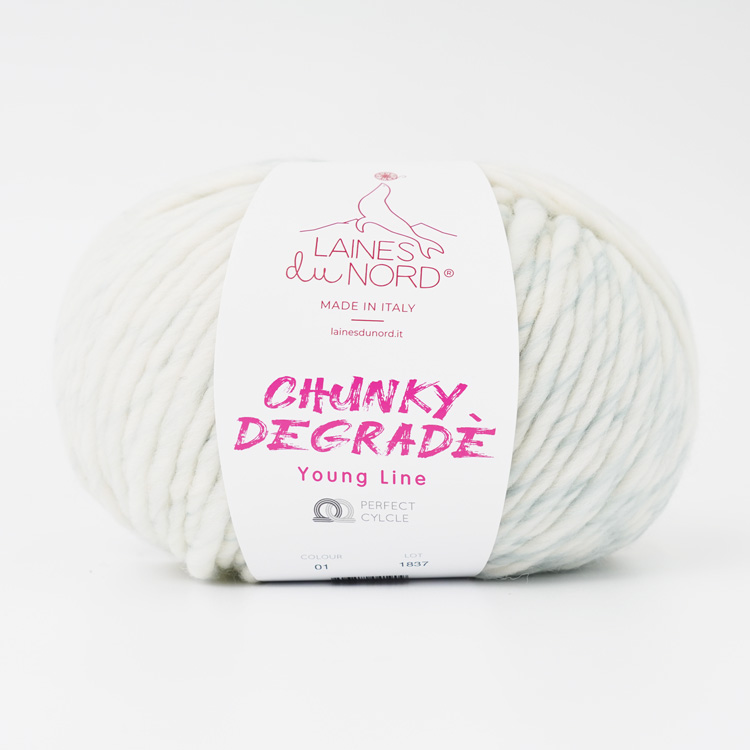 Laines du Nord  CHUNKY DEGRADE 超極太 200g(120m)1.生成×ミント