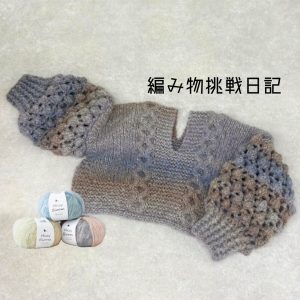 編み物挑戦日記📖ヘイジーブルームで一目惚れセーター編んでみました🧶